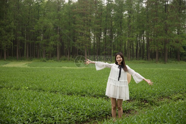 走进武汉虎泉，体验一杯茶的慢生活艺术